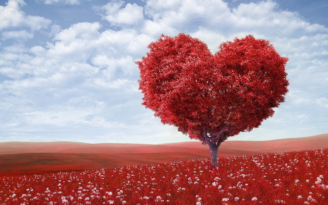 Coronary artery disease